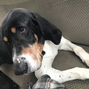 Meet your Posher, Marcos